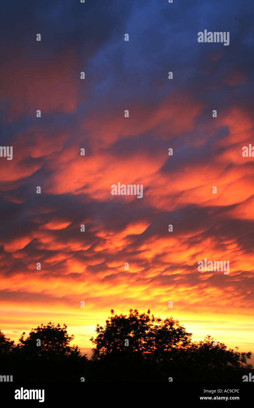 Dramatic sunset sky with fiery clouds over silhouetted trees Stock ...