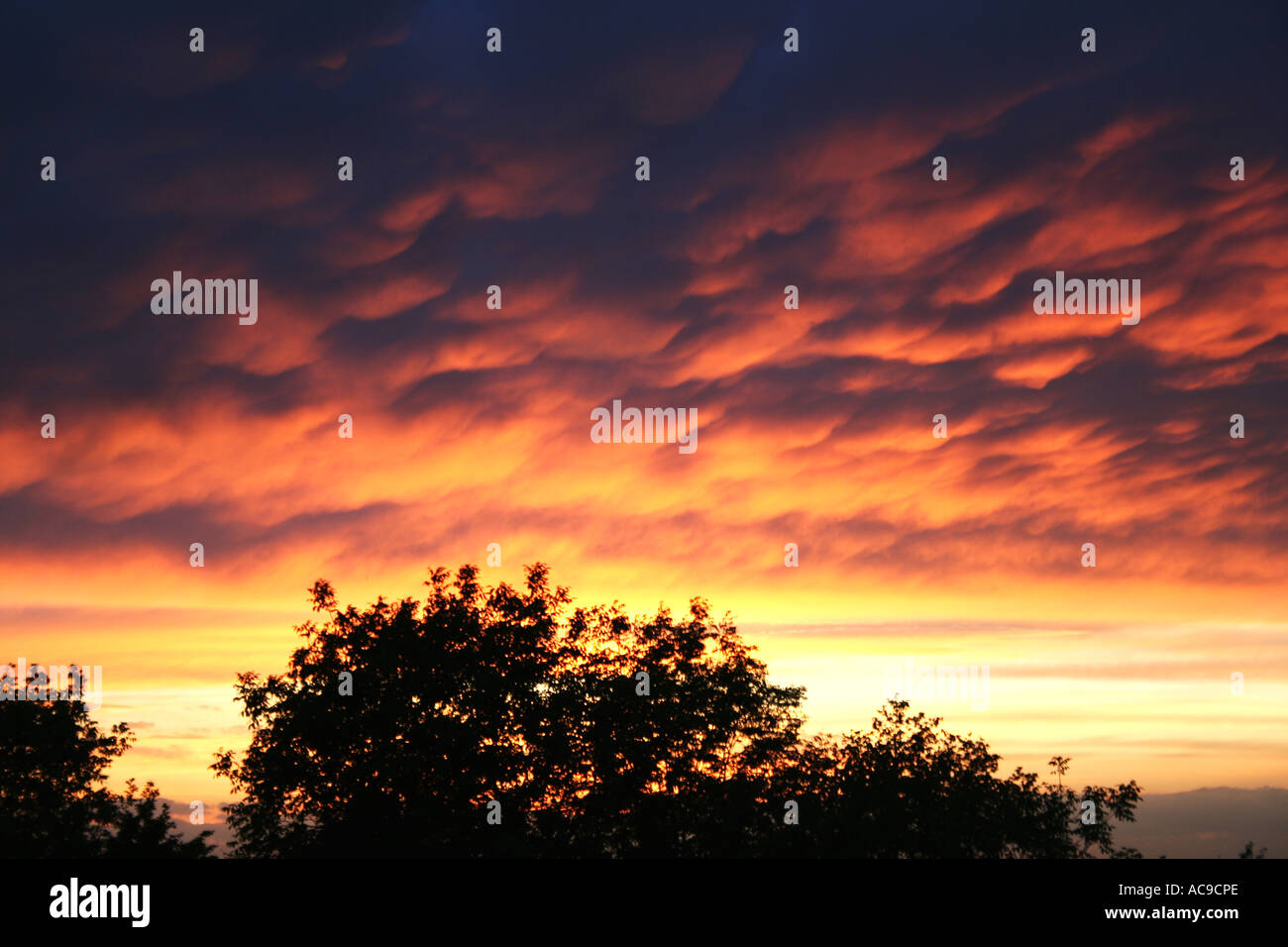 Dramatic sunset sky with fiery clouds over silhouetted trees Stock ...