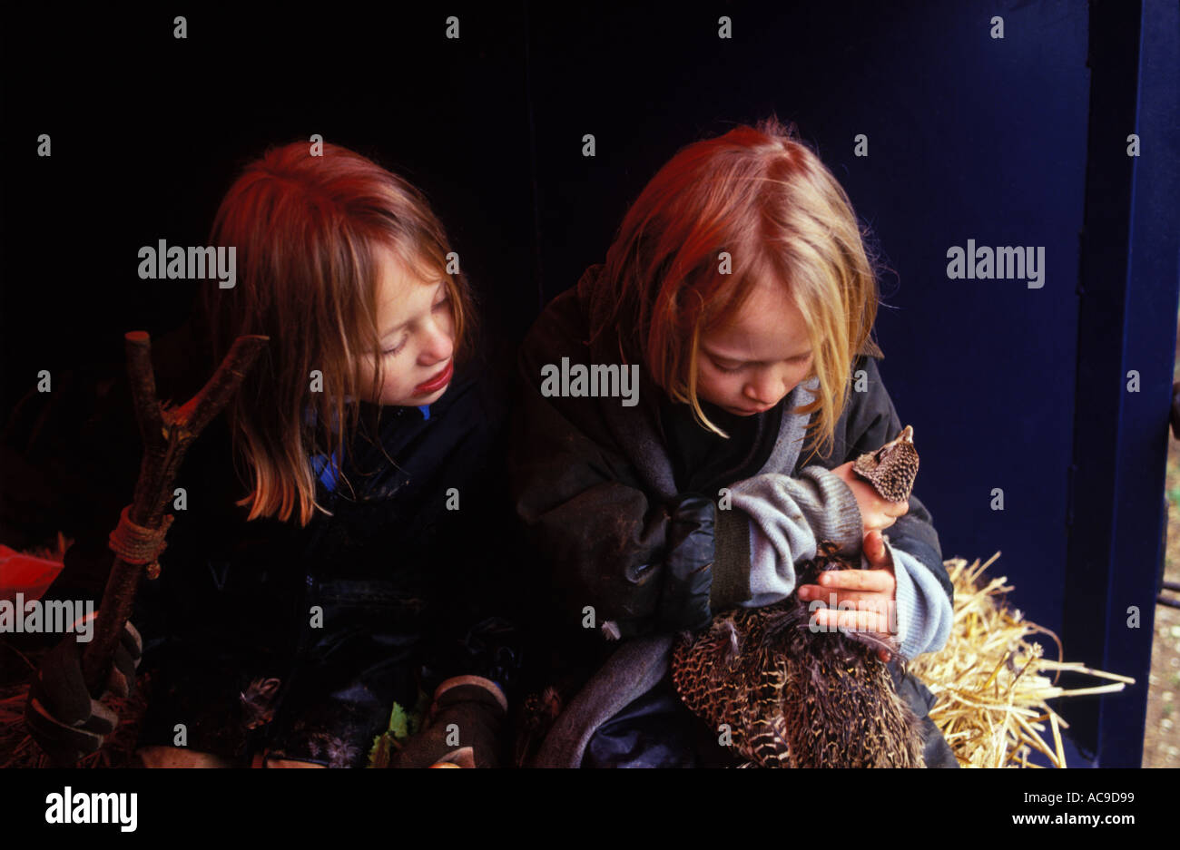 Two young girls with dead pheasant 2000s They have been on a childrens shoot  Hampshire England learning about rural life. HOMER SYKES Stock Photo