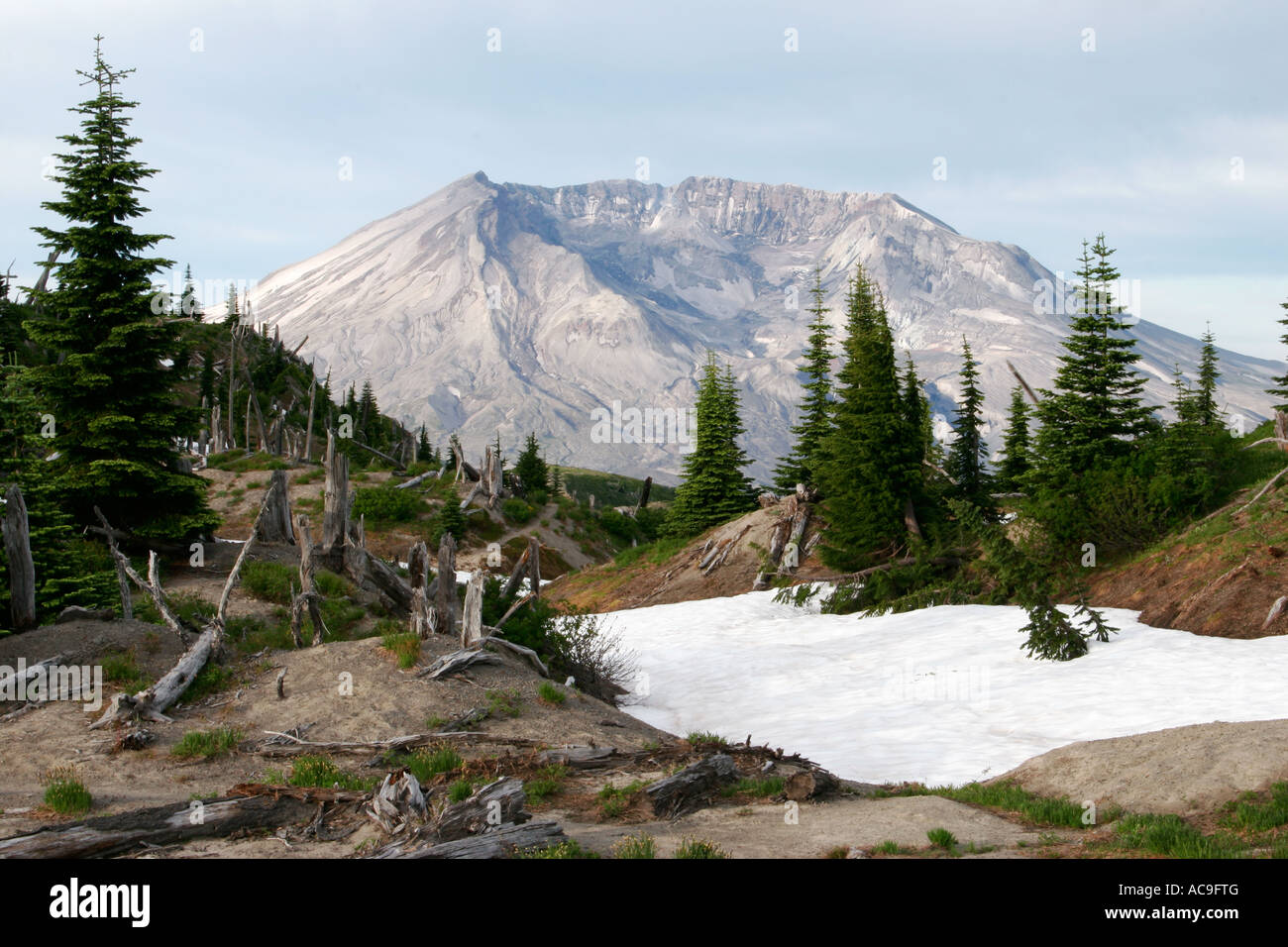Mount St Helens from Bear Camp Mount St Helens National Volcanic