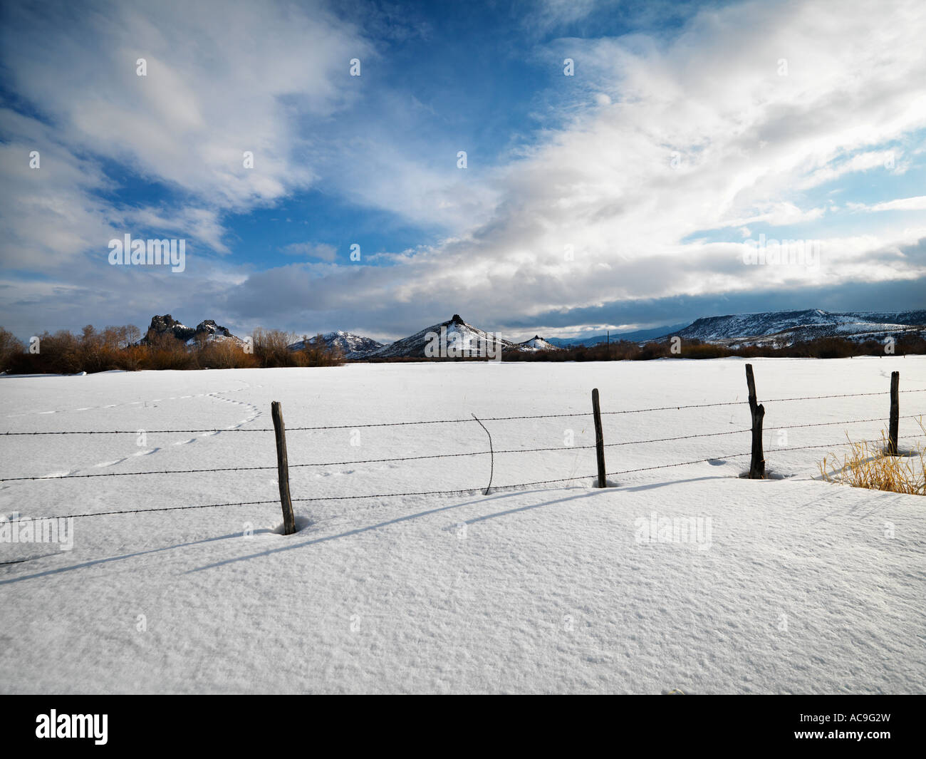 Barbed wire fence with snow covered ground and mountains in background ...