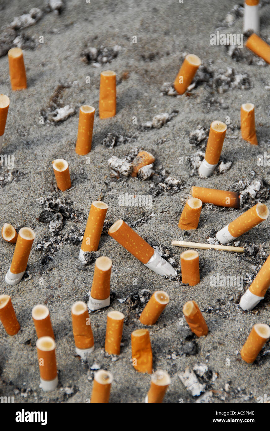 how much are cigarettes in venice Cigarette butts in in Marco Polo airport Venice Italy Stock Photo