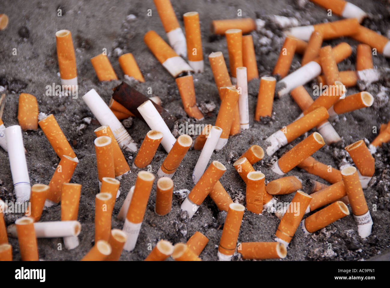 will smoke detectors detect cigarettes Does Smoke in a Can Work with All Types of Smoke Detectors?