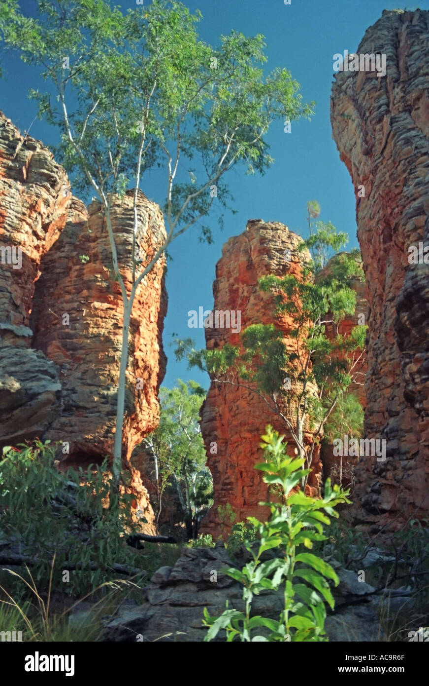 Nt Rocks Carranberim Rocks Northern Territory NT Australia NT2 17 Stock Photo ...