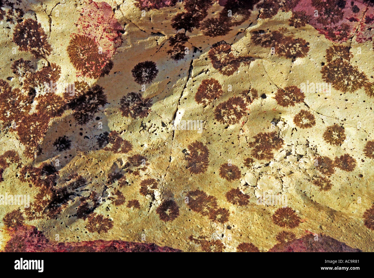 Shoreline rock hi-res stock photography and images - Alamy