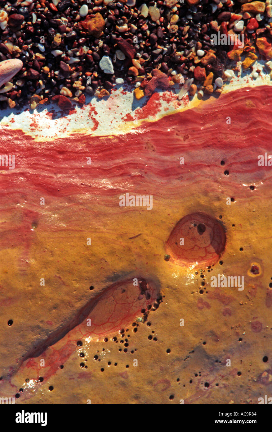 Texture shoreline hi-res stock photography and images - Alamy