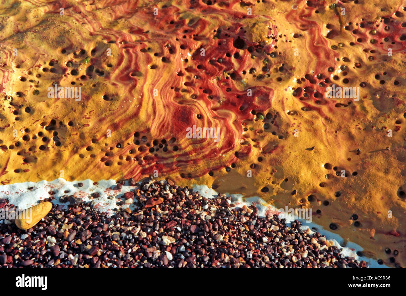 Shoreline texture detail hi-res stock photography and images - Alamy