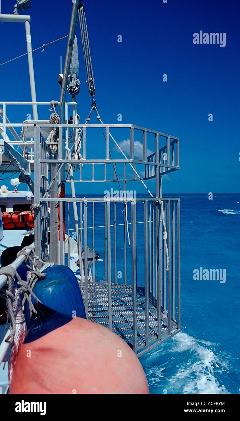 Shark cage Bahamas Atlantic Ocean Stock Photo Alamy
