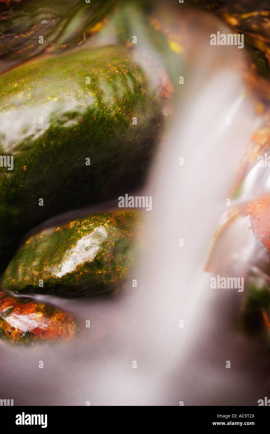 water flowing over rocks in a river Stock Photo - Alamy