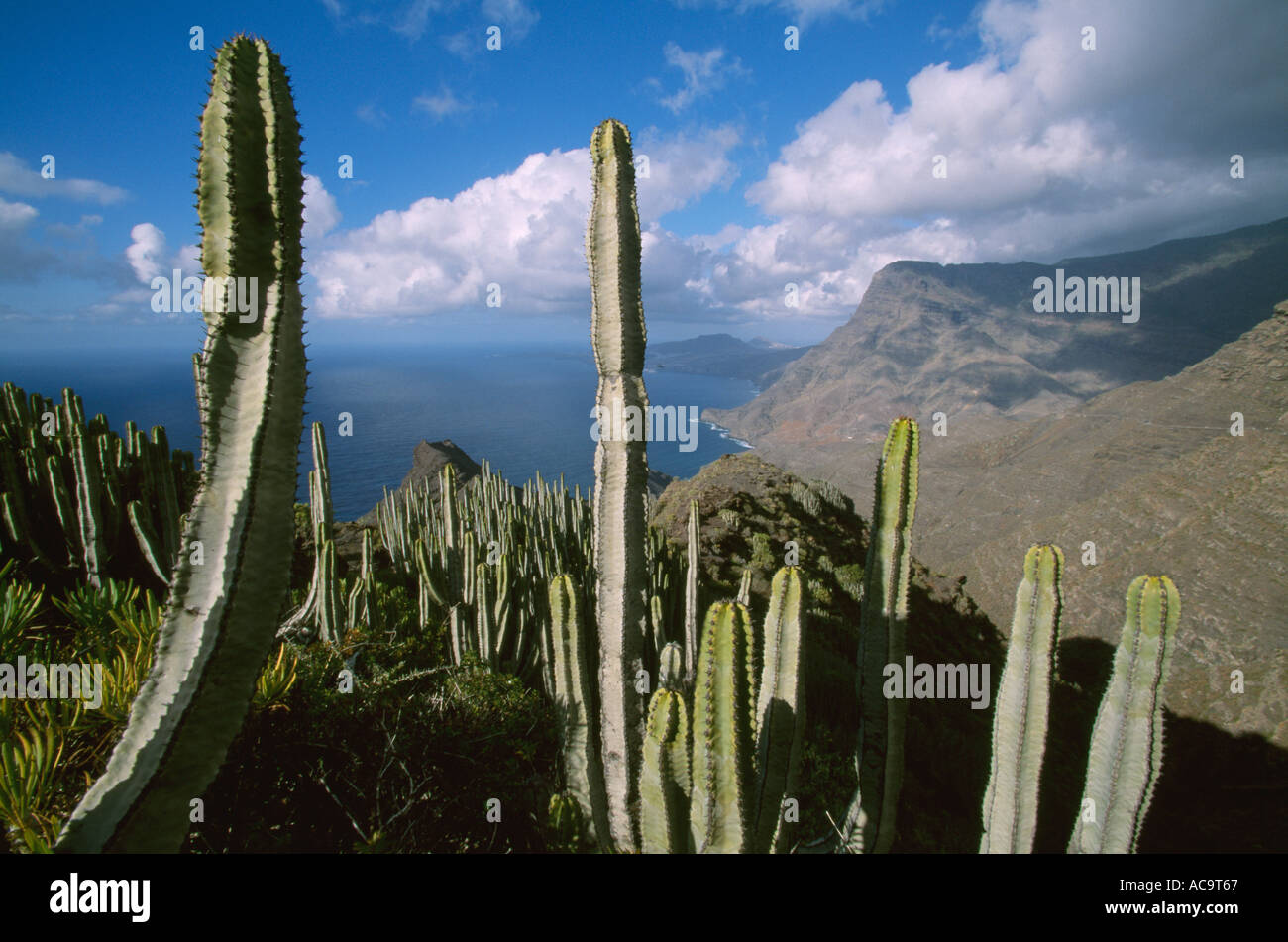Valley of el risco hi-res stock photography and images - Alamy