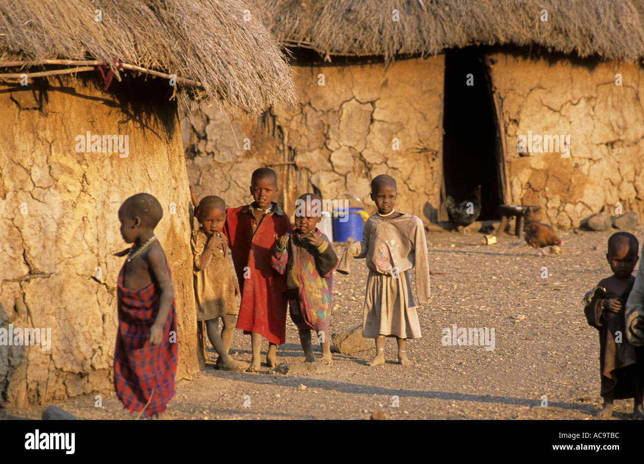 Maasai village near Mto wa Mbu, Tanzania Stock Photo