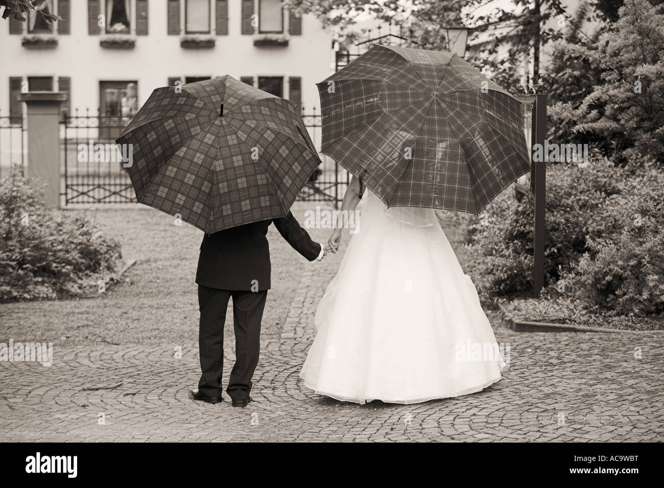 Wedding couple with umbrellas, black and white Stock Photo
