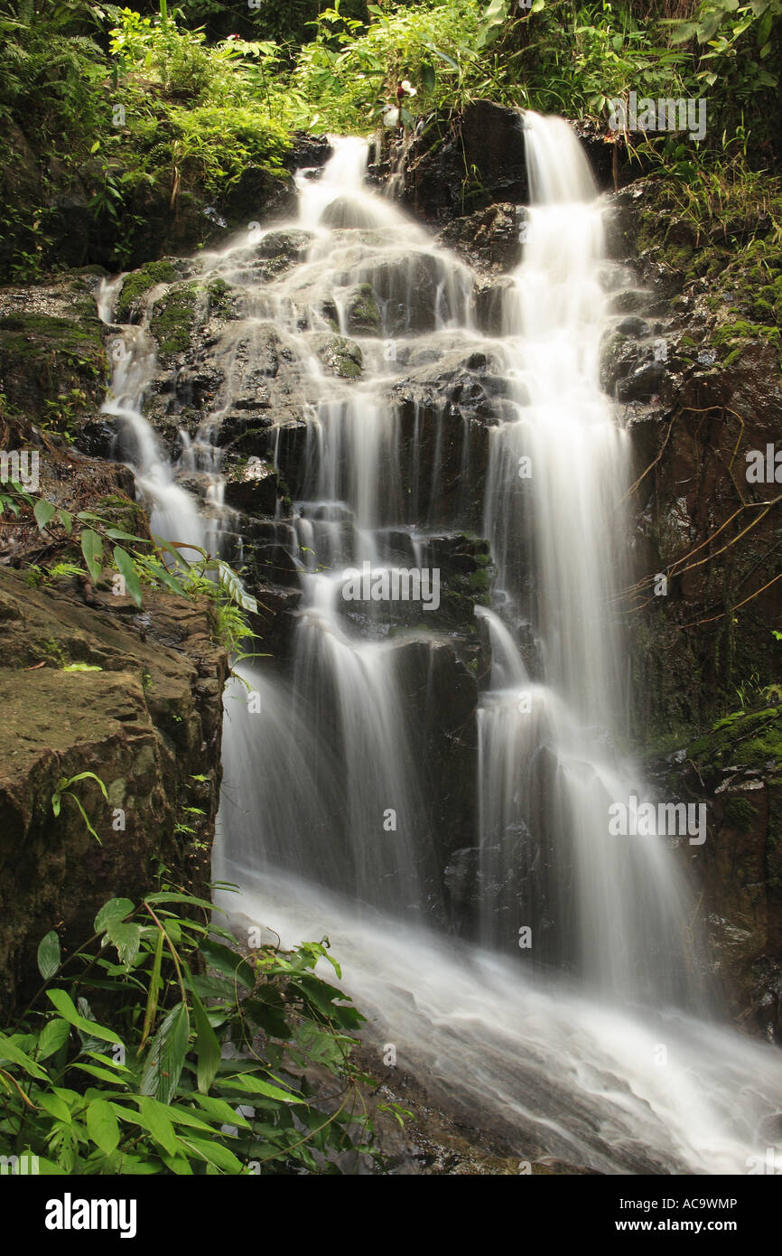 Ton Sai Wasserfall in National Park Khao phra thaeo, Phuket, Thailand Stock Photo