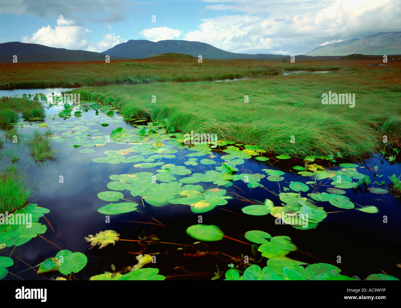 Ireland County of Galway Ahalia River near Maam Cross in Connemara Stock Photo