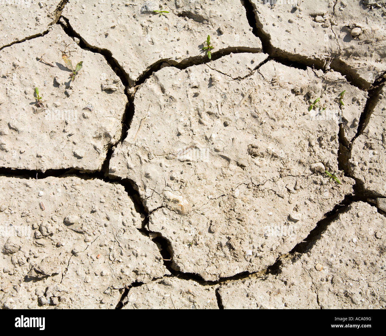 dry sunbaked cracked mud dirt in summer drought Stock Photo - Alamy