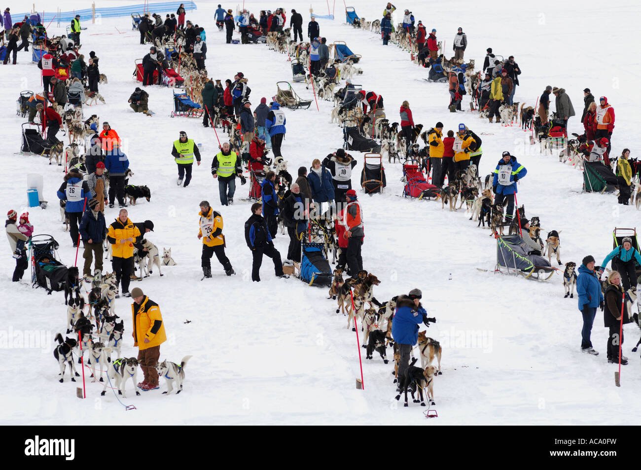 Participants, dogsled race, Finnmarkslopet, Alta, Finnmark, Norway Stock Photo