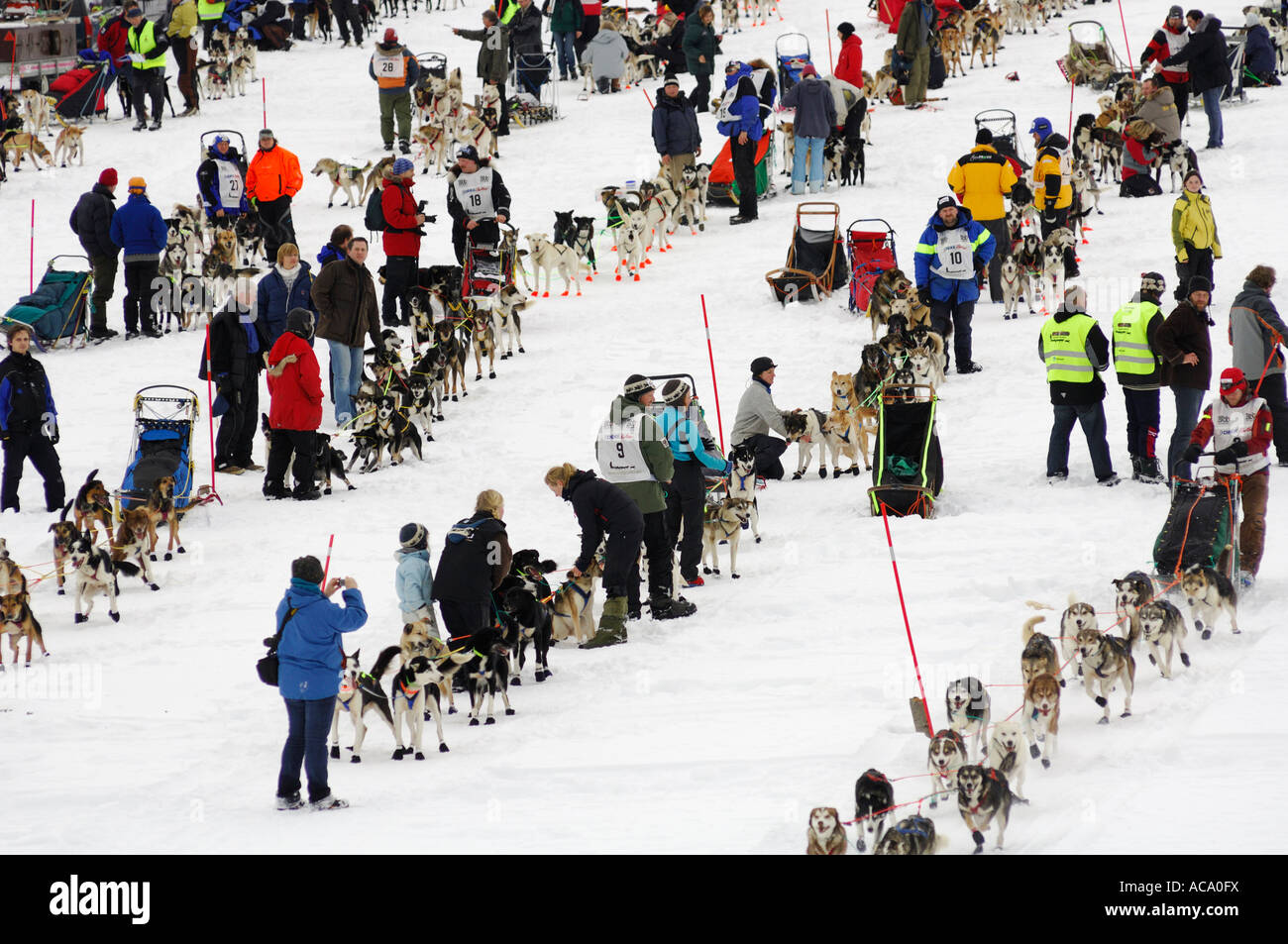 Participants, dogsled race, Finnmarkslopet, Alta, Finnmark, Norway Stock Photo