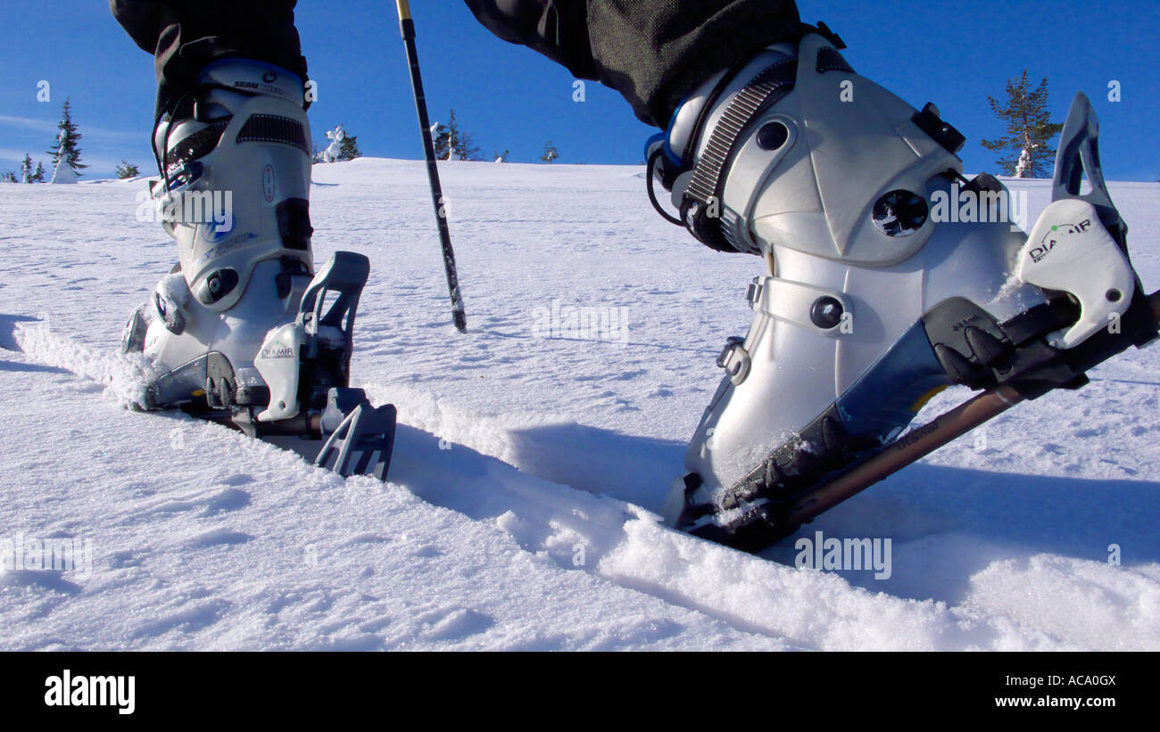 Backcountry skier, ski boots Stock Photo