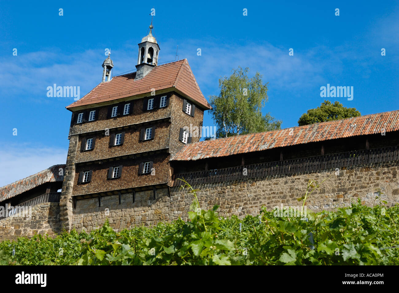 arbeitsagentur esslingen am neckar