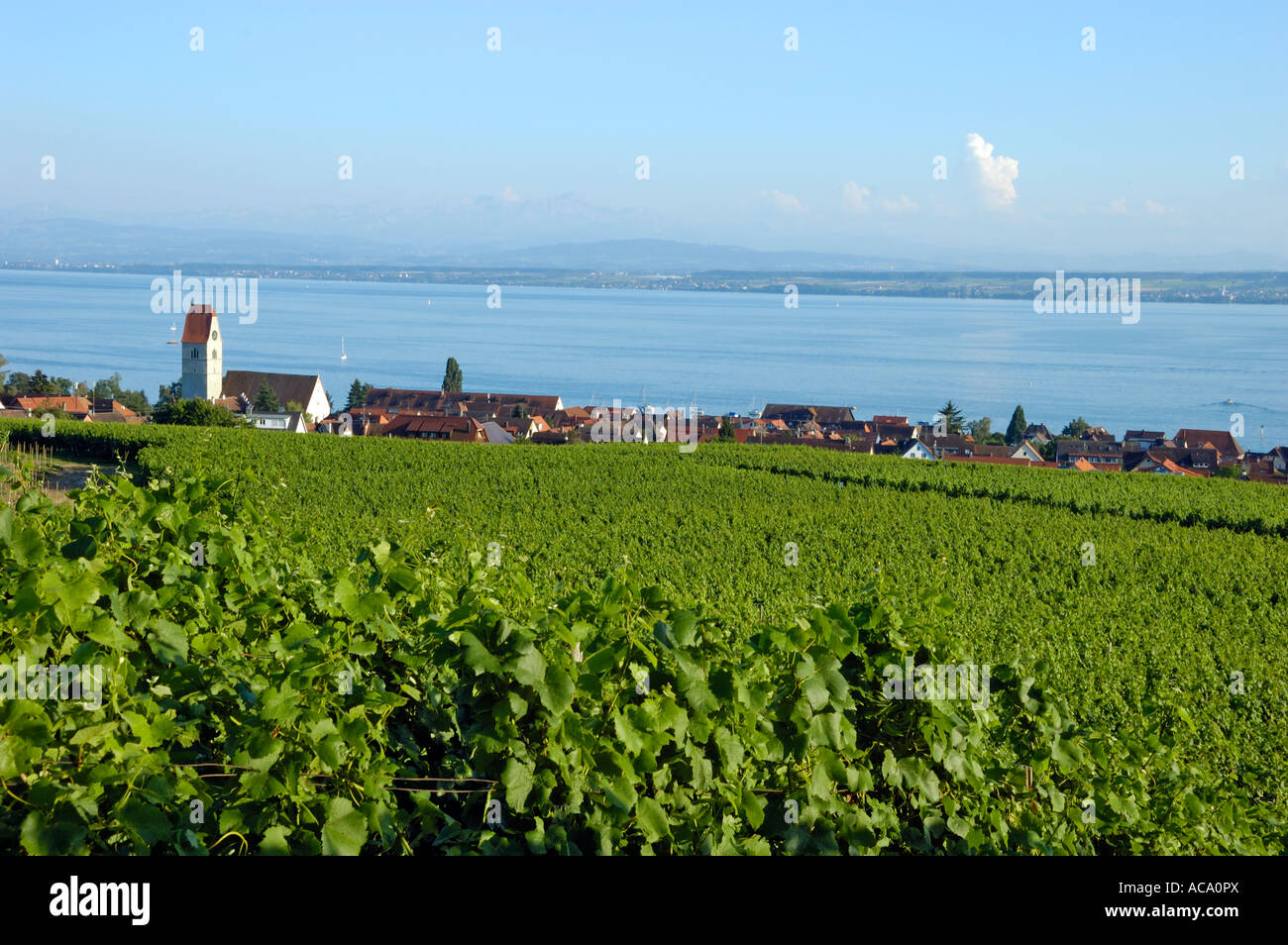 Hagnau, Lake Constance, Baden-Wuerttemberg, Germany, Europe Stock Photo