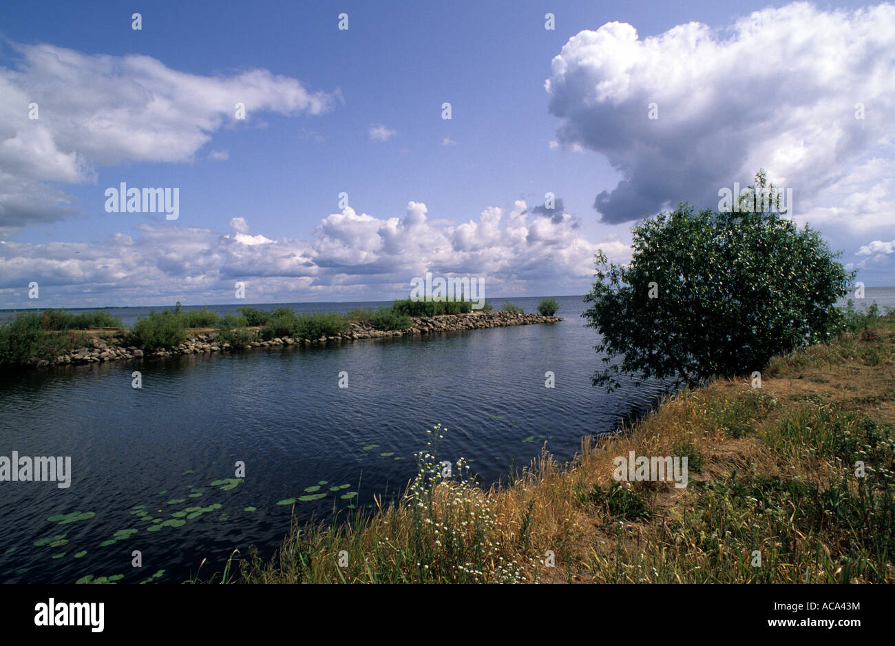 Landscape at Lake Peipus close to Mustvee, Estonia Stock Photo - Alamy