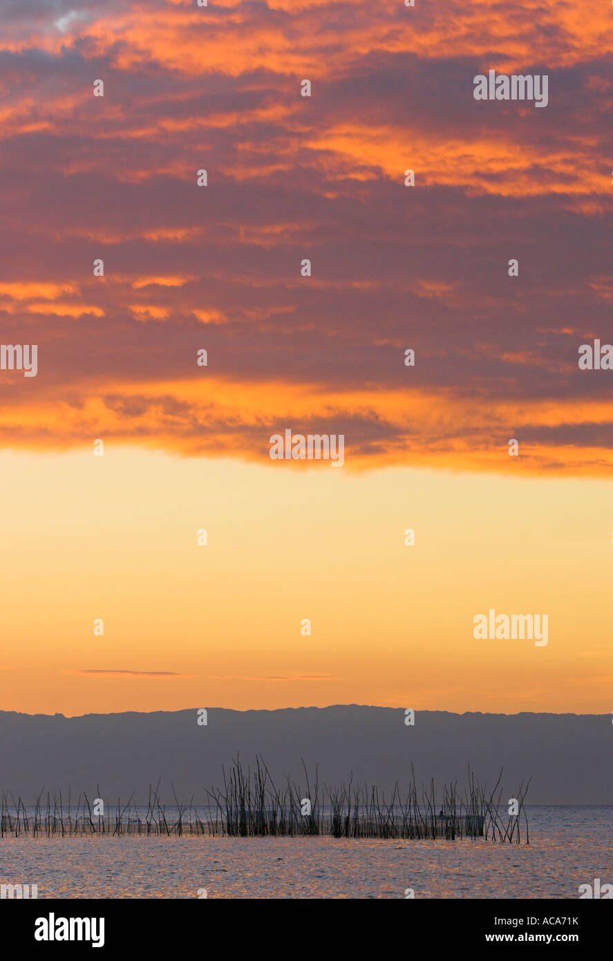 Fish trap in the evening light, Philippines Stock Photo Alamy