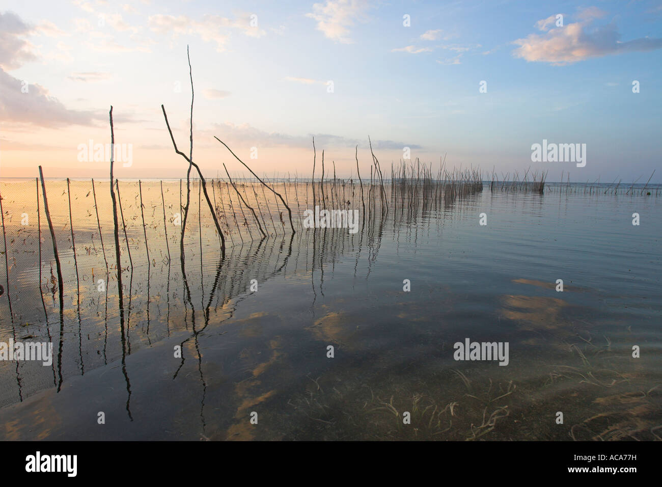 Fishing net, Philippines Stock Photo Alamy