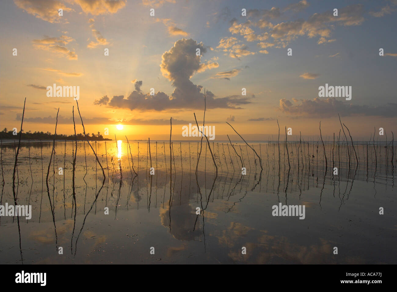 Fishing net, Philippines Stock Photo Alamy