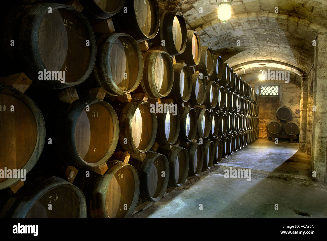 Brandy cellar in the Bodega Suau on Majorca, Spain Stock Photo Alamy