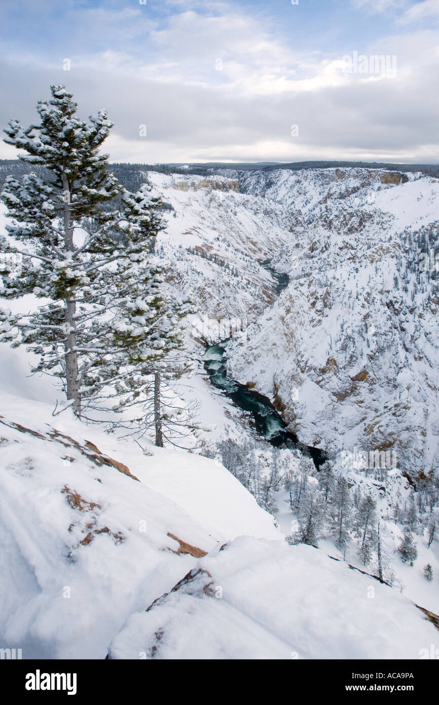 Grand Canyon of the Yellowstone River in Winter, Wyoming Stock Photo