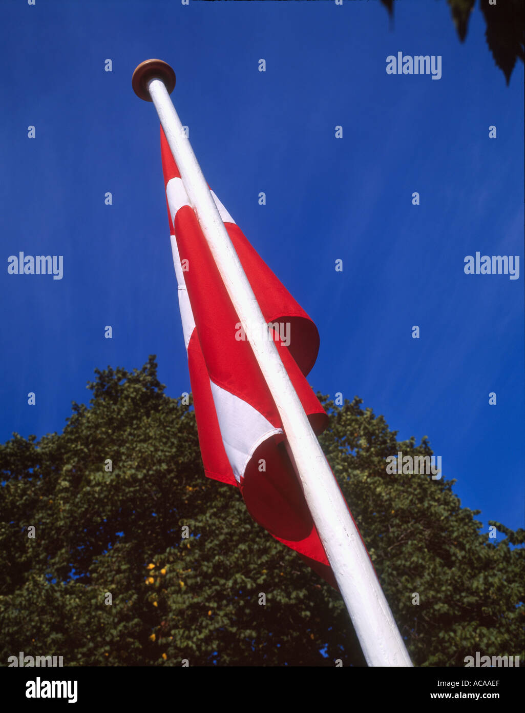 Danish Flag Named Dannebrog Stock Photo Alamy Danish Flag Named Dannebrog Stock Photo Alamy