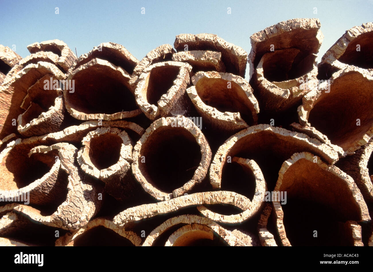 Cork bark as a raw material after removal from Cork Oak trees stacked outdoors in Portugal Stock Photo