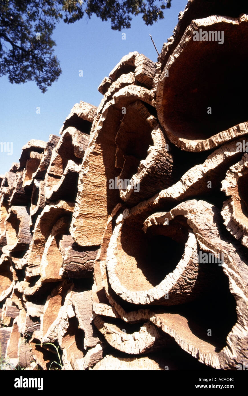Cork bark as a raw material after removal from Cork Oak trees stacked