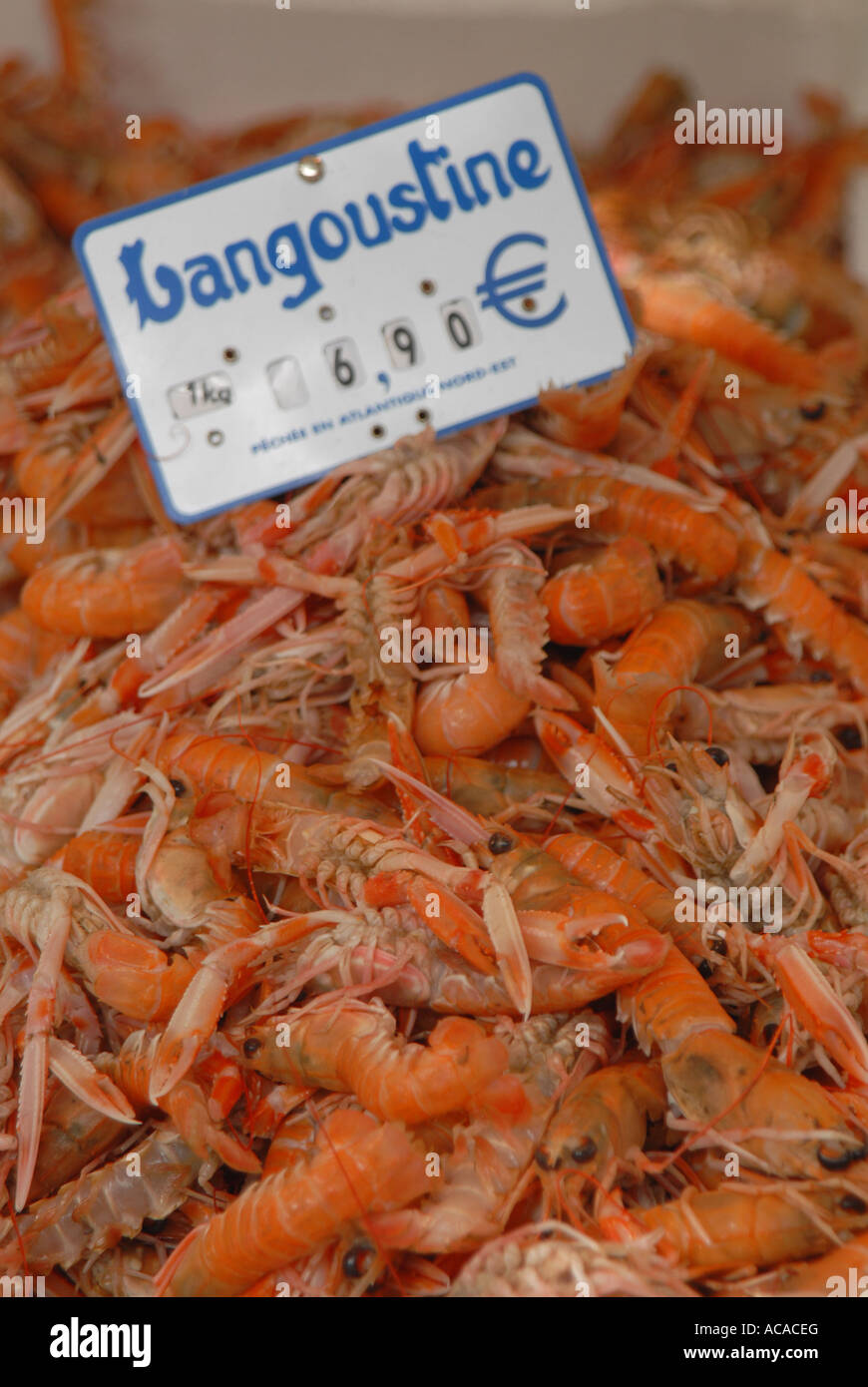 PARIS Seafood at the Sunday market on Boulevard Richard Lenoir at Bastille Stock Photo