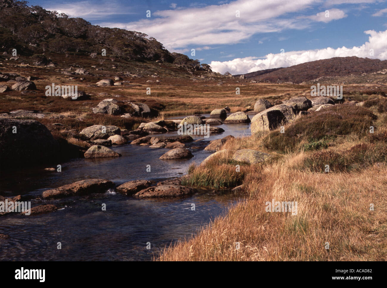 Australia spencers creek snowy mountains hires stock photography and images Alamy