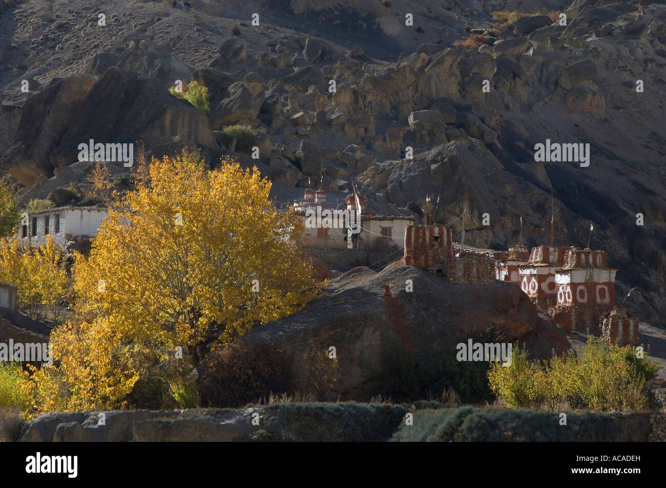 Chortens and trees in autumn discolouration to the east of Tetang village Stock Photo