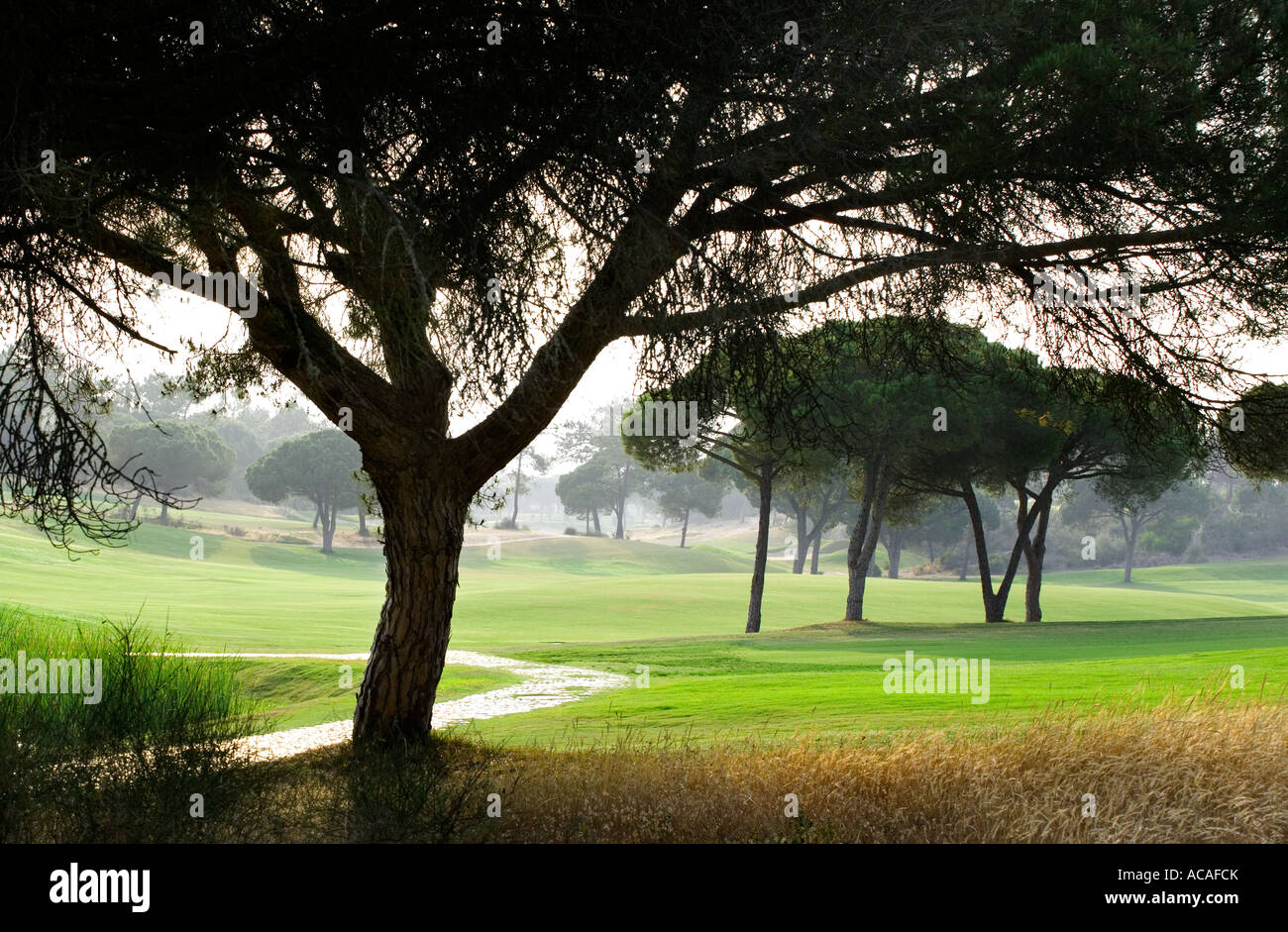 Golf course, Quinta Do lago, Faro, Portugal Stock Photo Alamy
