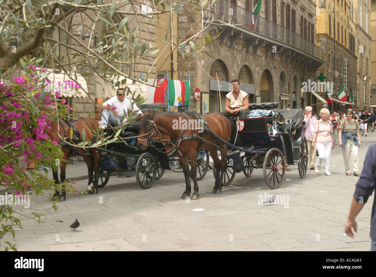 Horse drawn carriage florence hi-res stock photography and images - Alamy