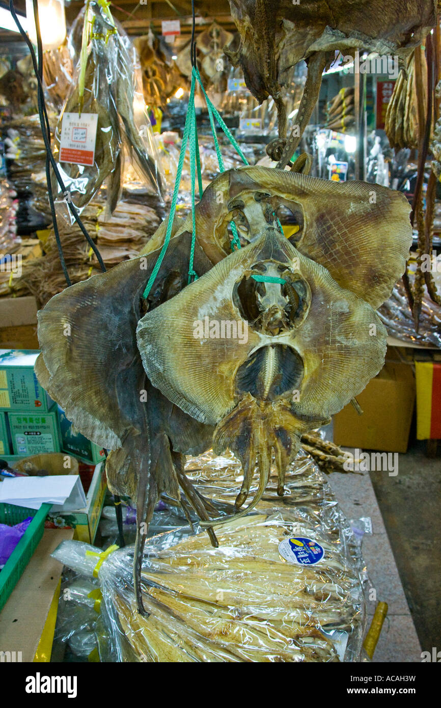 Dried Fish Stingray Shop at Market Sokcho South Korea Stock Photo - Alamy