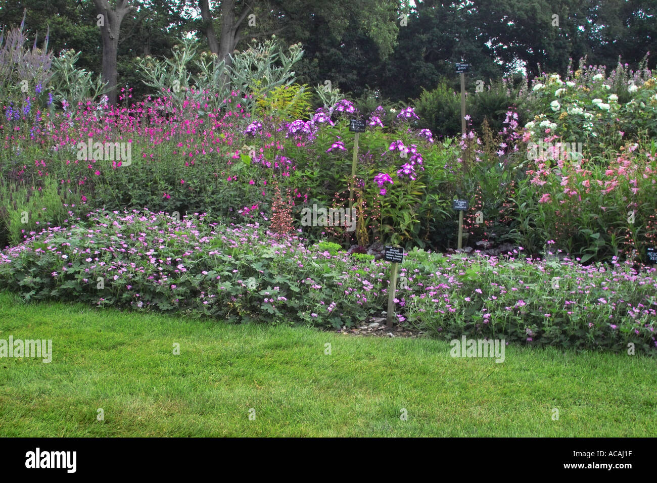 Summer border bedding plants hi-res stock photography and images - Alamy