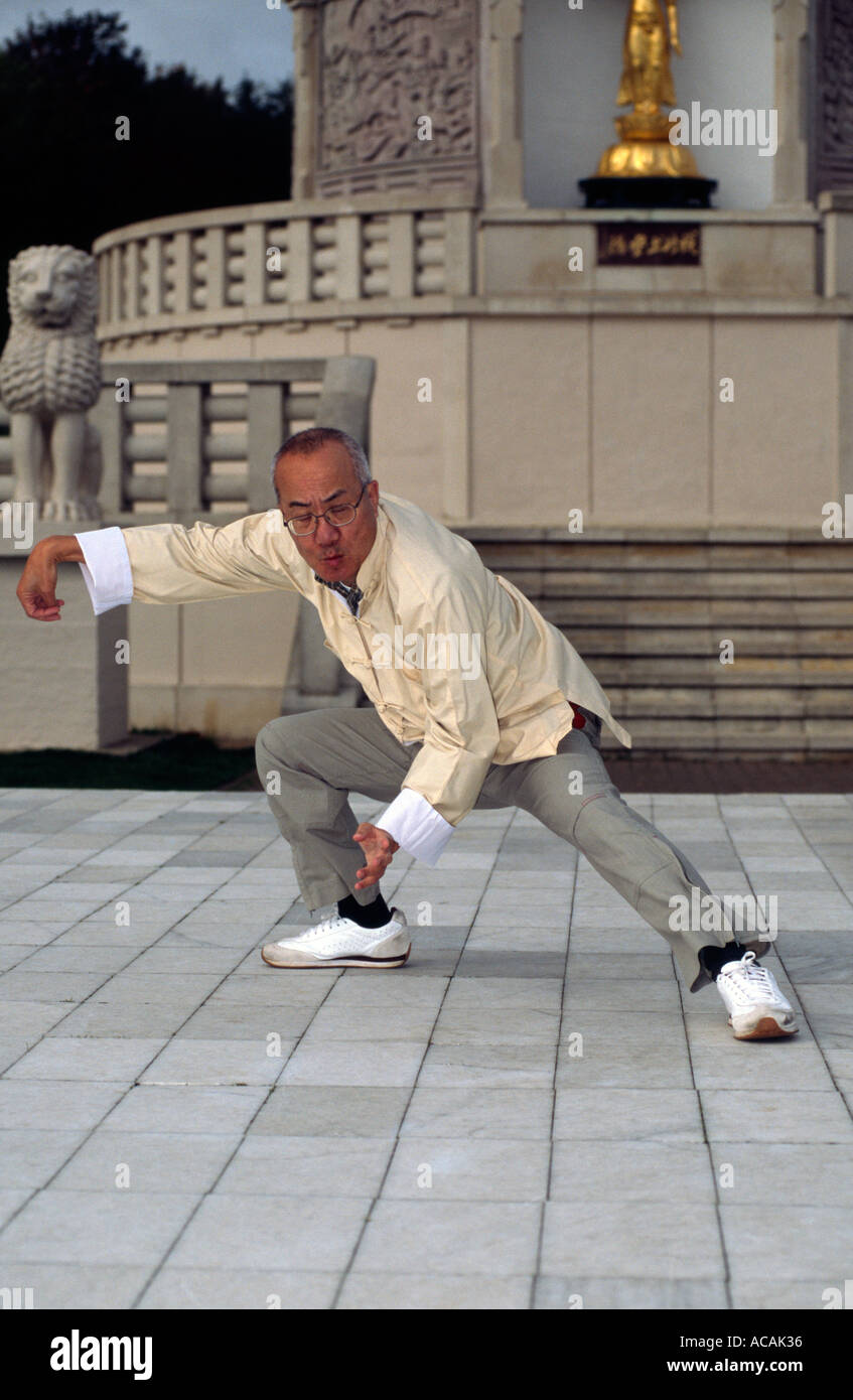 Tai Chi Ming Wong Venice Michelle Yeoh | Biography, Movies, & Facts