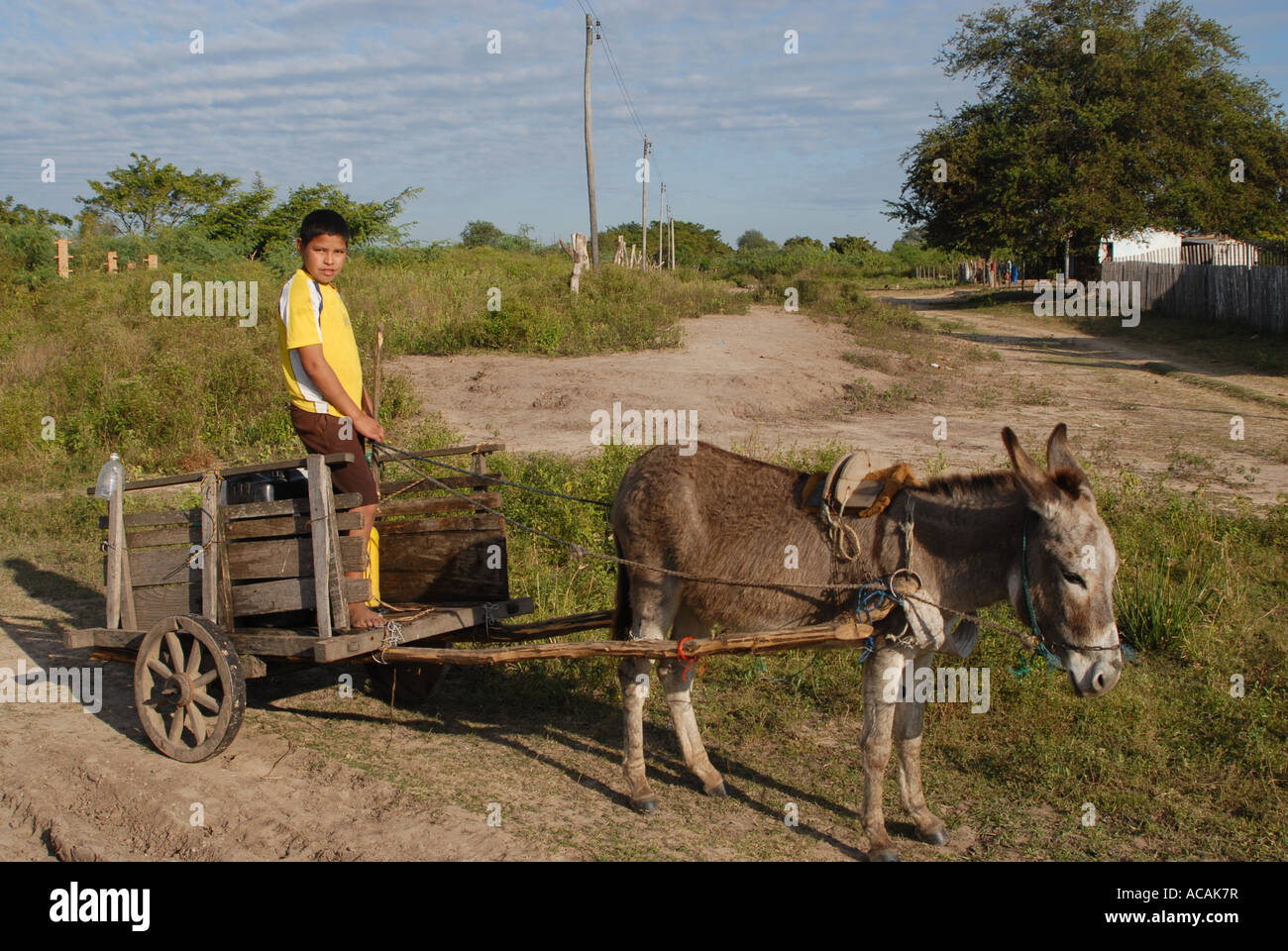 Typical way of transport: boy with donkey cart, Paraguay Stock Photo