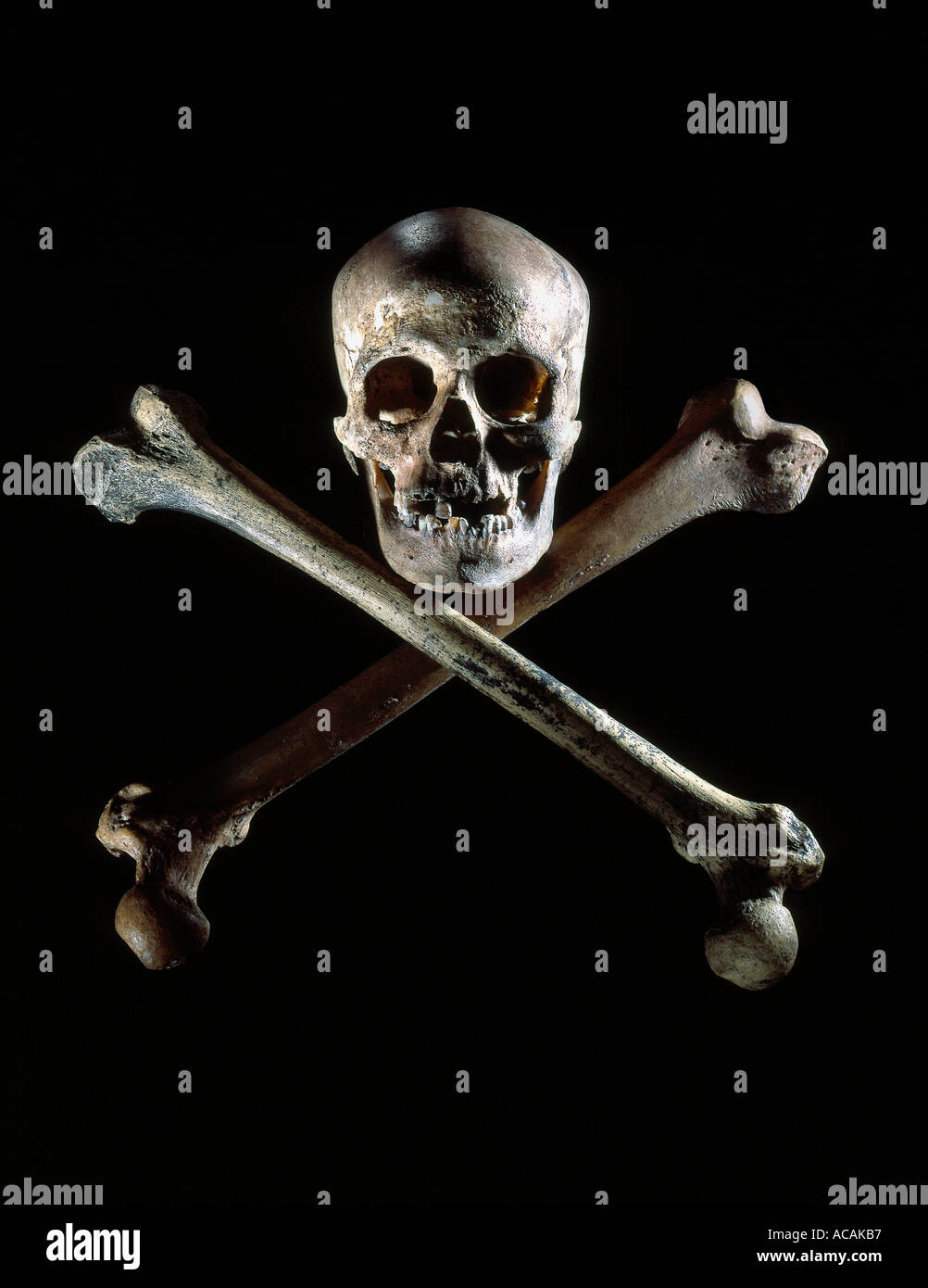 Skull and cross bones on black background. Studio location Stock Photo