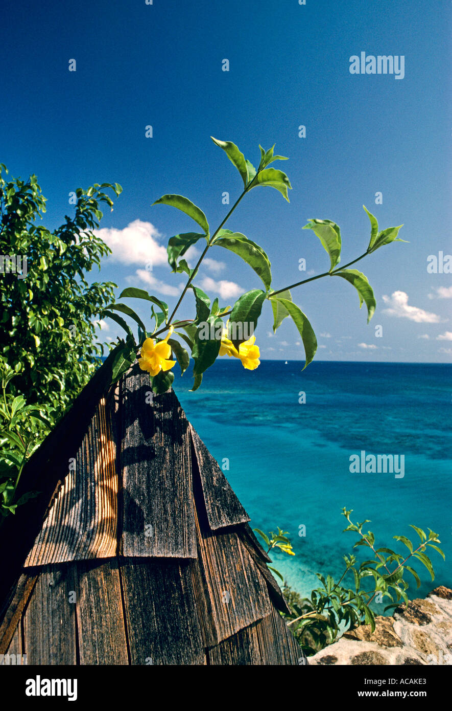 Necker Island garden feature against azure Caribbean sea BVI Stock Photo