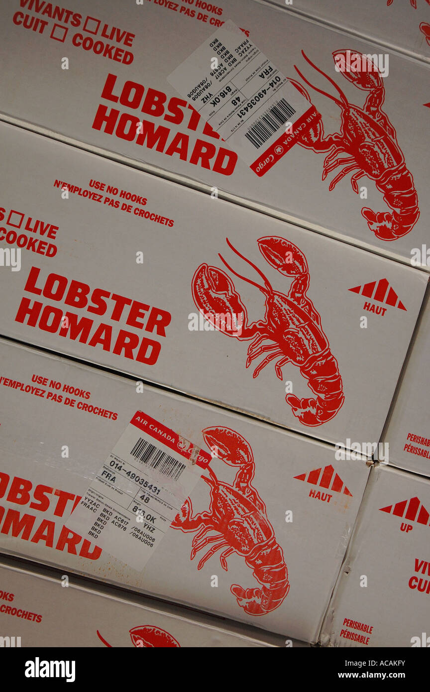 Fresh lobster, fish market, Hamburg, Germany Stock Photo Alamy