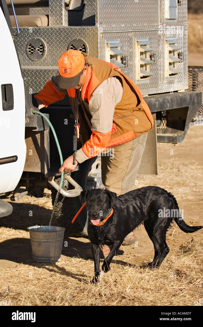 Upland Bird Hunter Guide Pouring Water into Bucket for Black Labrador Retriever Greystone Castle Texas Stock Photo