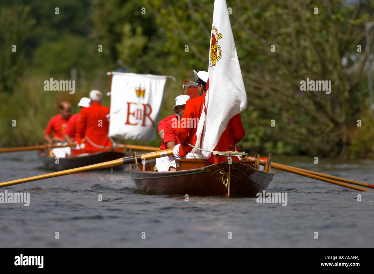 The traditional Thames rowing skiffs at the annual swan upping River
