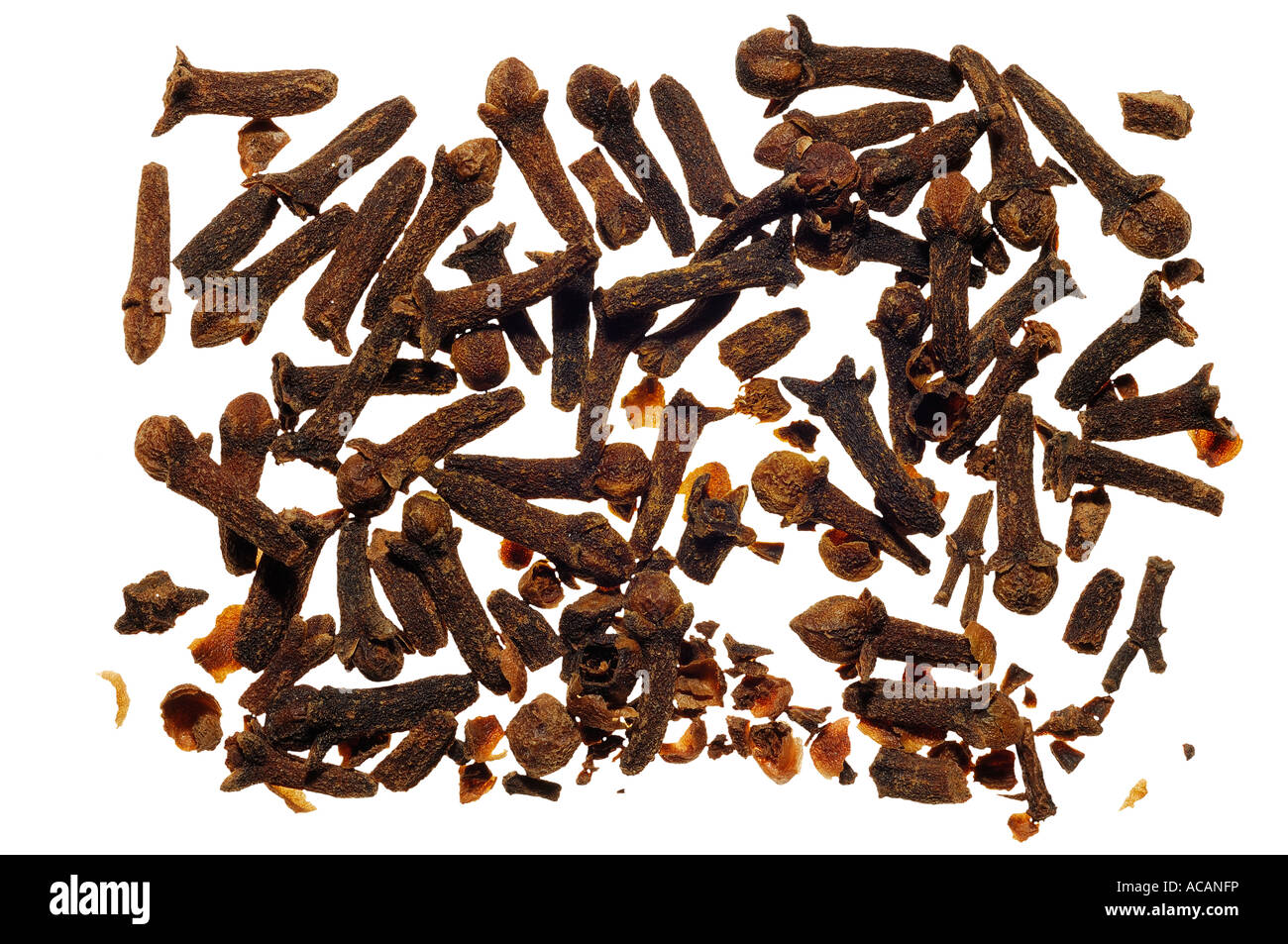 Clove (Syzygium aromaticum Stock Photo Alamy