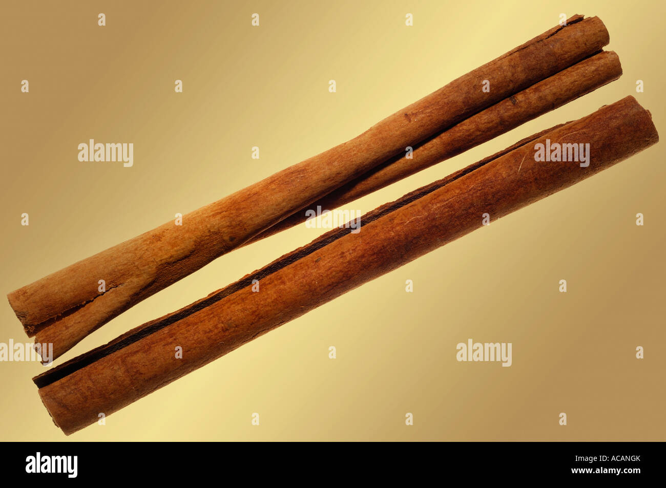 Cinnamon sticks (Cinnamonum) Stock Photo