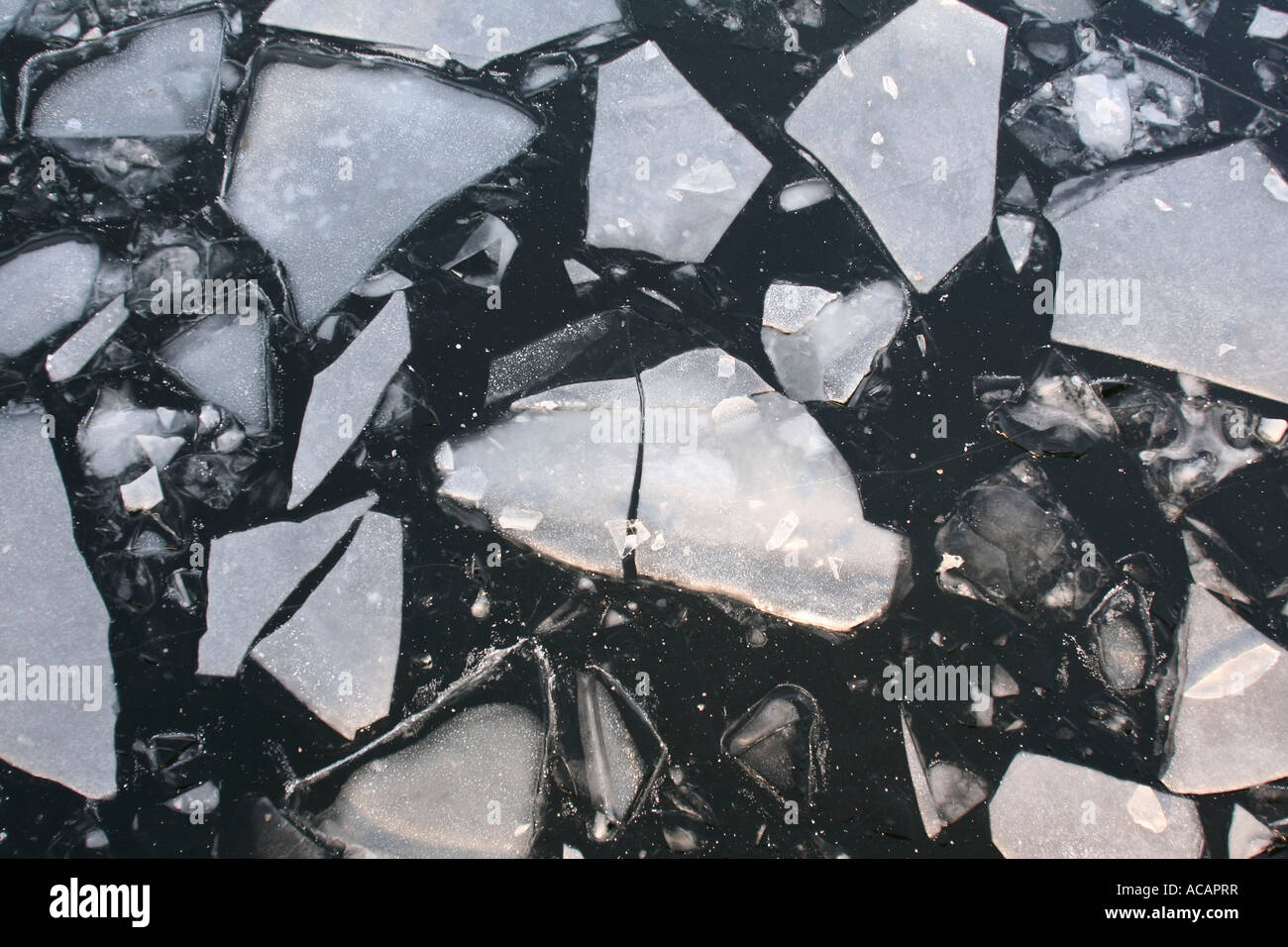 Ice floes Stock Photo